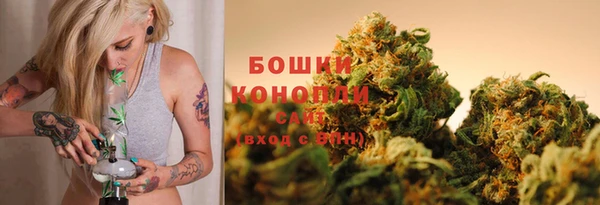 сатива Нея
