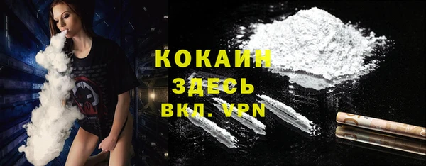 сатива Абинск