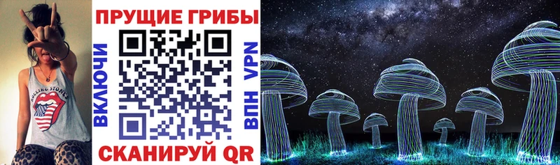 Псилоцибиновые грибы мухоморы  OMG ссылки  Ак-Довурак 
