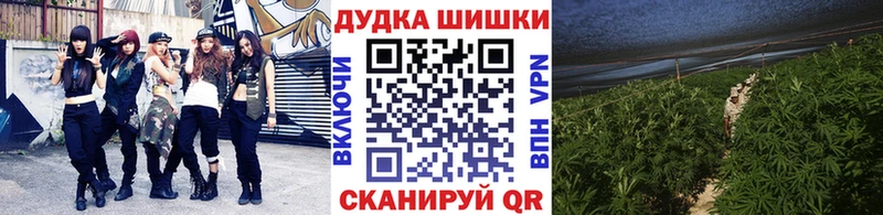 Марихуана гибрид  Ак-Довурак 